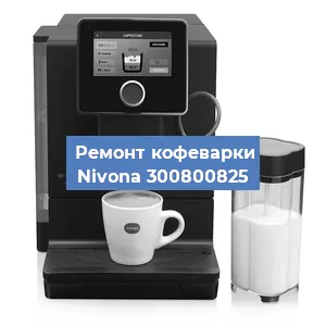 Ремонт капучинатора на кофемашине Nivona 300800825 в Челябинске